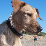 Knappe man!