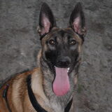 Foto van Hope & Rambo