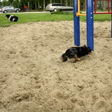 Allebei even gekkigheidmomentje
