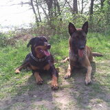 Donja & Spike...helemaal moe van het rennen!