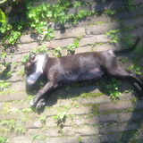 lekkere zon :)