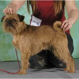 Ch Int, Multi - Imgosbull Give Me Kiss (female)