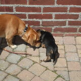 Samen buiten in het zonnetje
