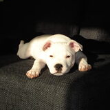 Just chillin'