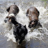 Nog meer waterplezier