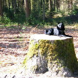 even uitrusten van de lange wandeling
