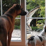 FF de tuin checken....