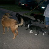 wandelen met alle gasten chez maranoa 2011