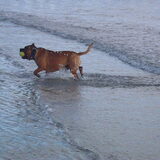 Foto van diane en tank