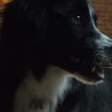 close-up van mij =)