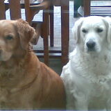 Luca en Maya :)