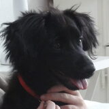 Foto van Marleen