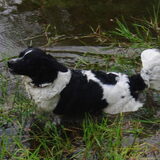 in het water :)