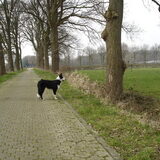 Harry aka Dude overdenkt zijn strategie.