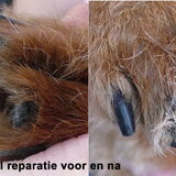 Reparatie voor en na van afgesleten nagels.