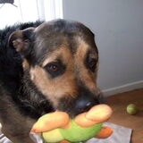 Foto van Claudia & Tank