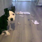 It wasn't me!!