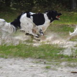 Langs het water