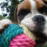 Arrrrrrrrr :)