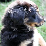 Foto van Joëlle <3 Sammie