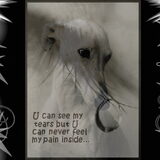 tears