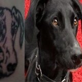 tatoo