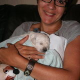 puppylove