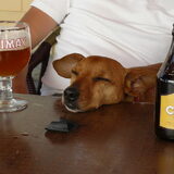 Ardennen 2011..effe soesen op terras