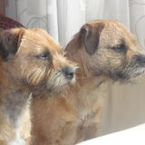 Wat een mooie koppies van ze.