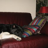 hoezo ... lui?
