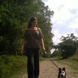 boswandeling