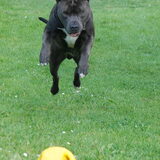 Foto van Jack