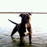 Foto van Jack