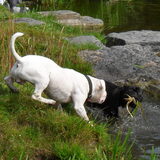 Zorran en Binkie