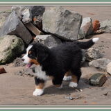 Foto van * ~ ... Sandra, Zyko, Lloyd & Yuna ... ~ *