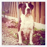 Stoere jimmy! (:
