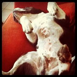haha, jimmy lekker relaxen!