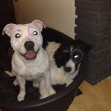 beetje carnaval vieren lol