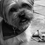 Foto van MaSpi///