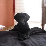 Foto van Sam_xX