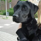 Loveyouu