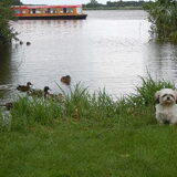 Met de eendjes op de foto