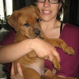 Foto van Rip diesel, King en hummer
