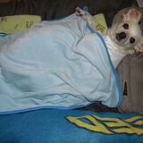 warm houden