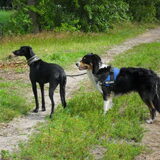 samen aan de wandel