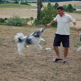 Vliegende honden brigade