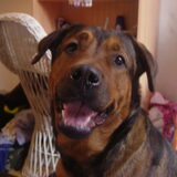 Foto van Quincy