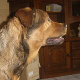 Foto van Quincy