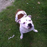 Foto van Kimberly&&Buddy