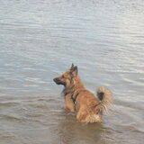 strand 2